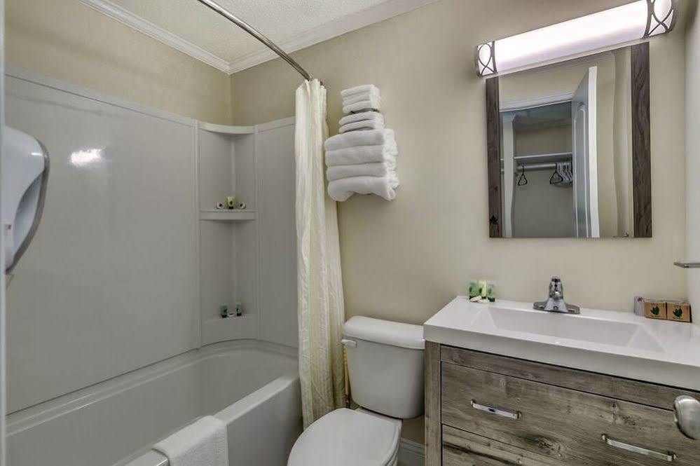Sea Hawk Oceanfront Motel Myrtle Beach Ngoại thất bức ảnh